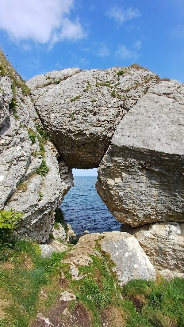 Madman's Window