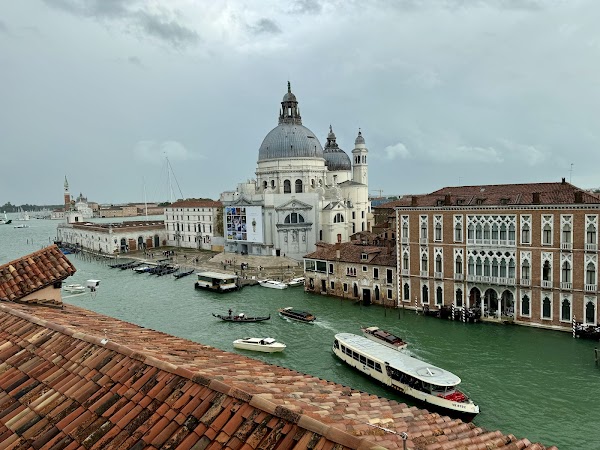 Basilica di Santa Maria della Salute 6