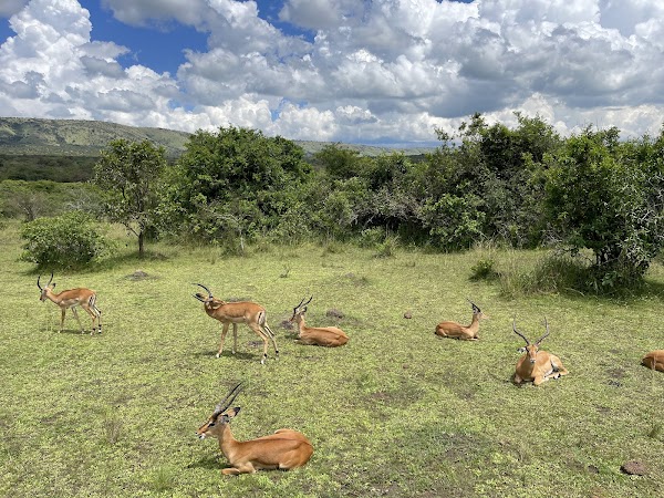 Akagera National Park Rwanda 5