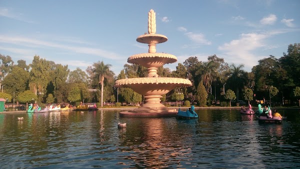 Sukhadia Circle 1