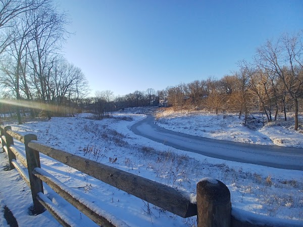 Forest Creek Park 1