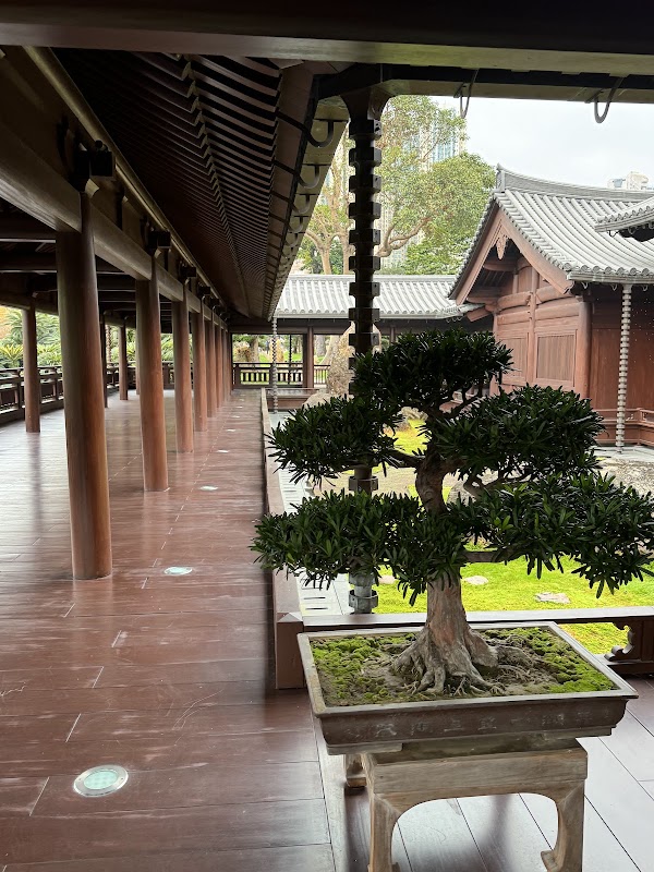 Song Cha Xie (Tea House)