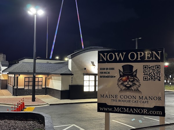 Maine Coon Manor Cat Cafe