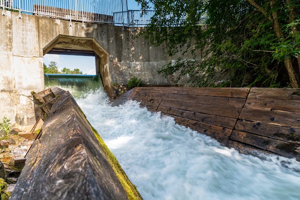 Hawk Lake Log Chute 3