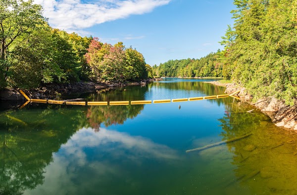 Hawk Lake Log Chute 2