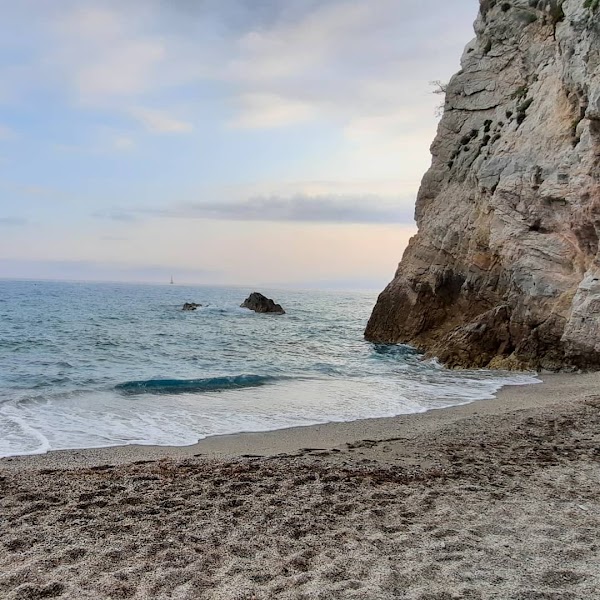 beach Punta Crena