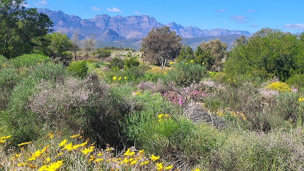 Clanwilliam