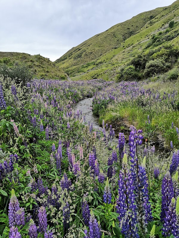 Crown Range Road 4