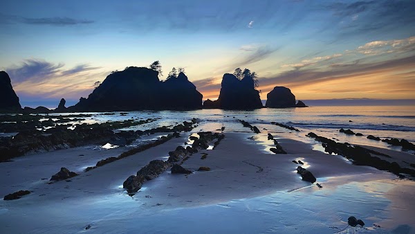 Shi-Shi Beach 1