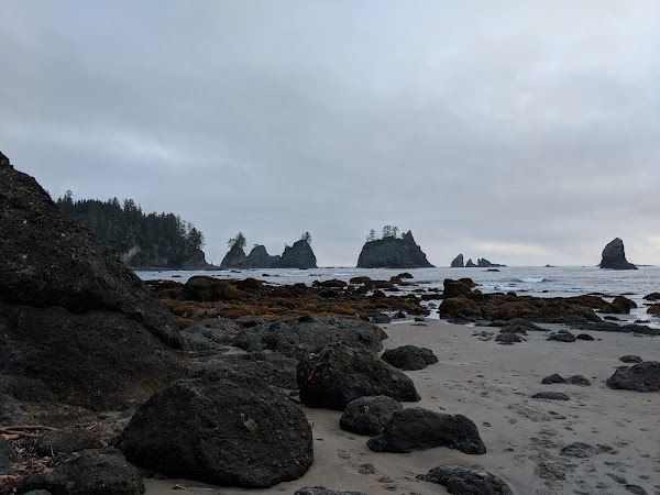 Shi-Shi Beach 5