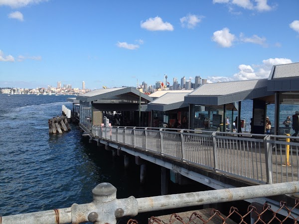 Taronga Zoo Wharf 4