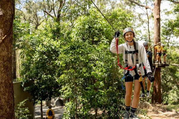 TreeTop Challenge Gold Coast Currumbin 1