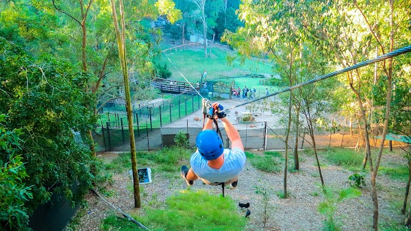 TreeTop Challenge Gold Coast Currumbin 5