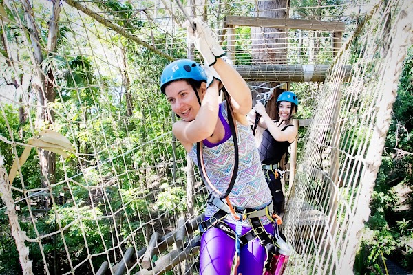 TreeTop Challenge Gold Coast Currumbin 4