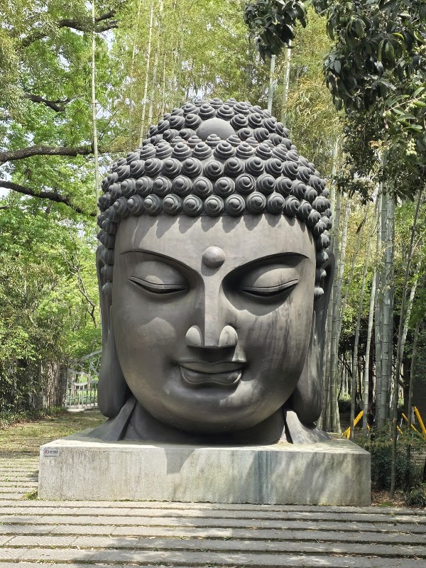 Hangzhou Botanical Garden 4