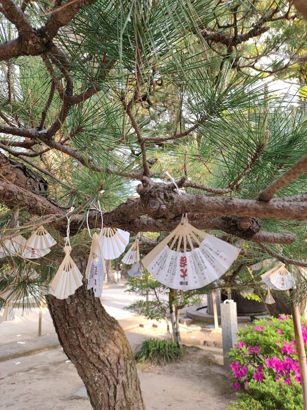Chionji Temple 3