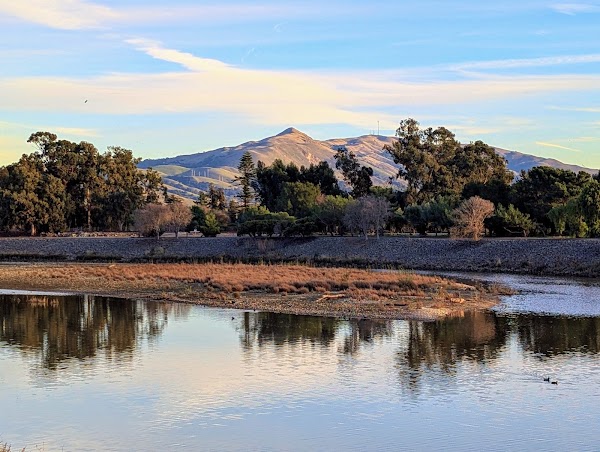 Niles Community Park 5