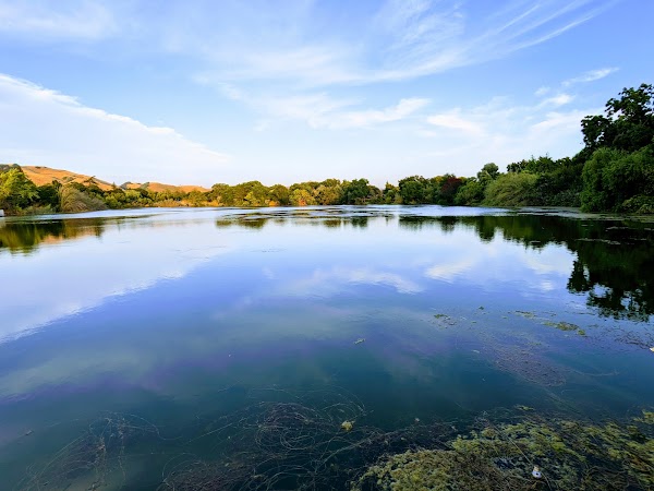 Niles Community Park 4