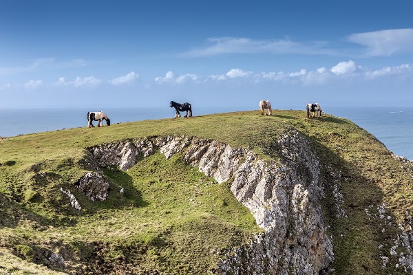 Rhossili Bay 3