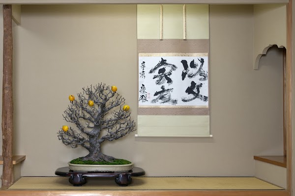 Shunkaen Bonsai Museum 1
