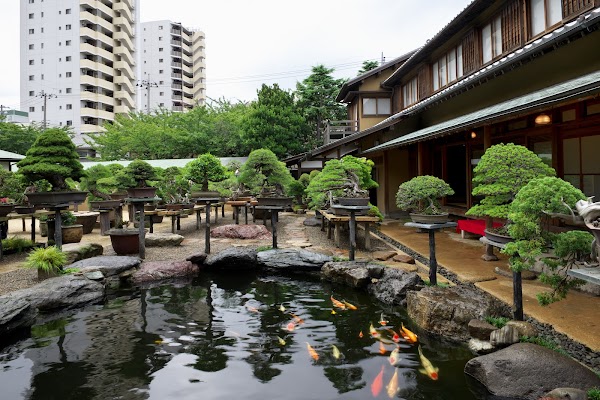 Shunkaen Bonsai Museum 4