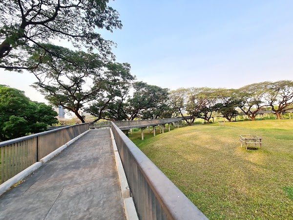 Benchakitti-Lumpini Park, Treetop Walk Bridge 2