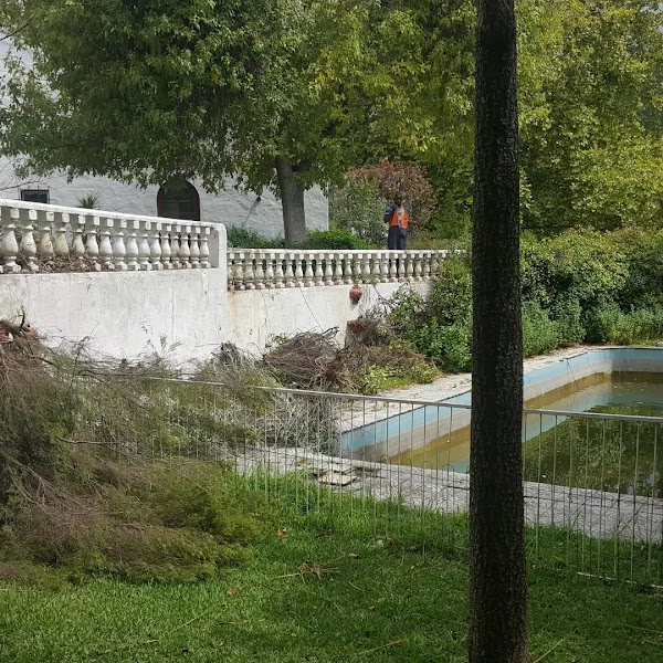 Constantia 1