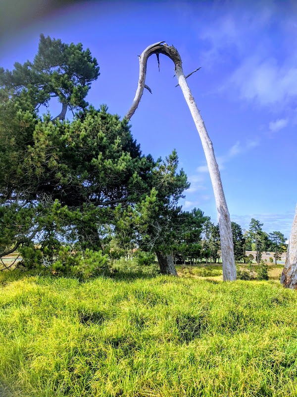 Ngāruawāhia 3