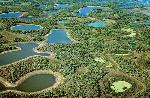 Pantanal Matogrossense National Park