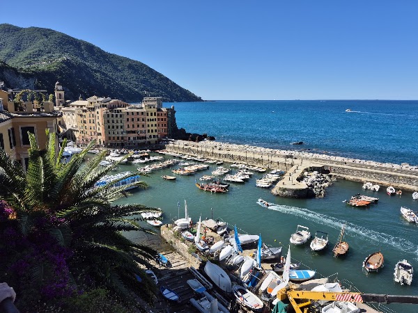 Porticciolo di Camogli