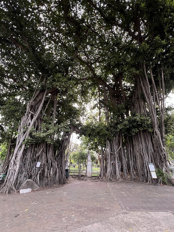 Saranrom Park 2