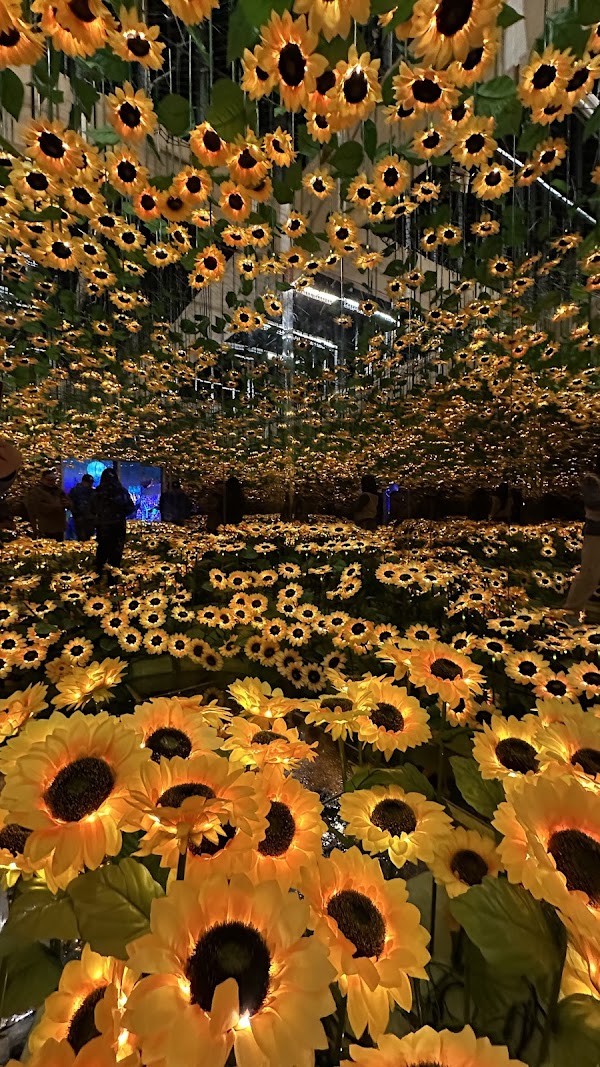 Imaginarium 3