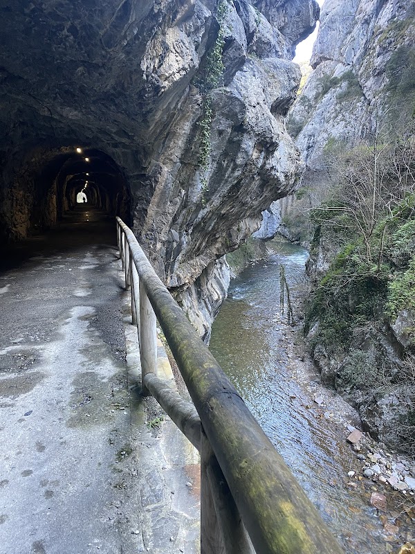 Senda del oso