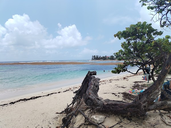 Plage des Raisins Clairs