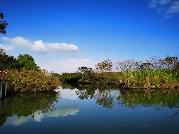南沙湿地公园