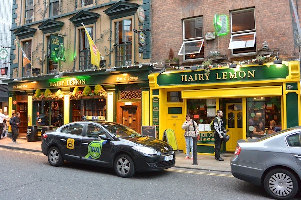 The Hairy Lemon