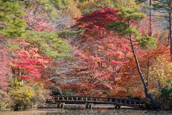 Kobe Municipal Arboretum