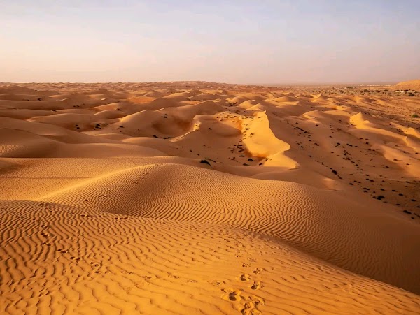 Wahiba Sands 1