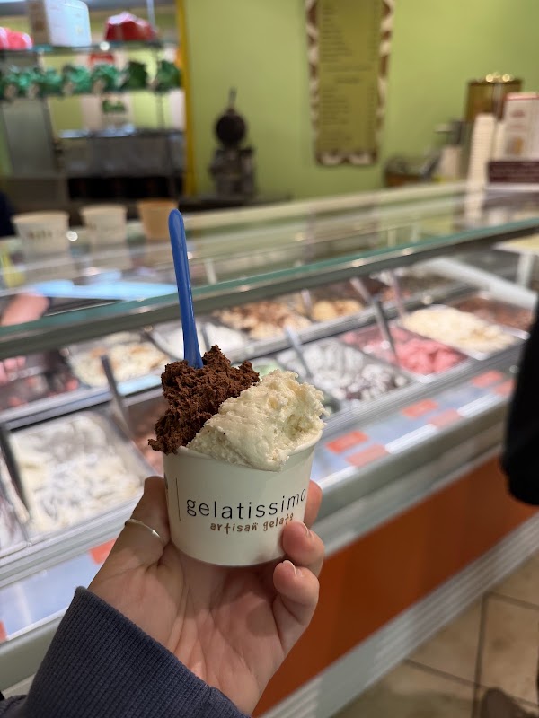 Gelatissimo Artisan Gelato 4