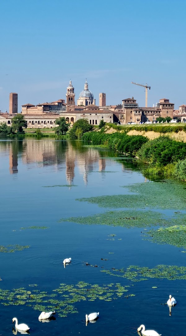 Mantua 5