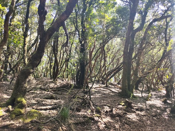 Sendero de los Sentidos