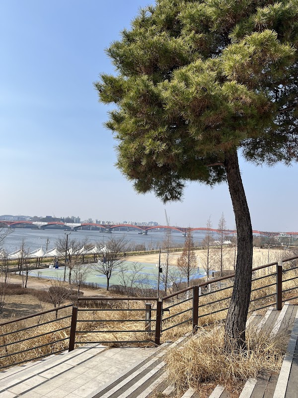 망원한강공원 농구장 5