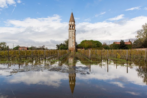 Venissa Wine Resort