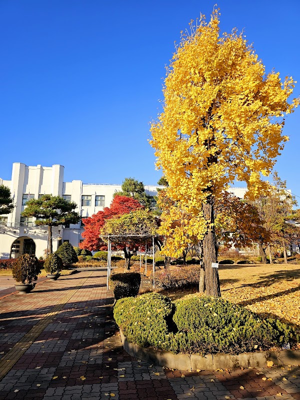 Jeongdok Public Library 2
