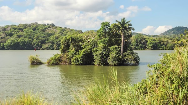Gatun Lake 5