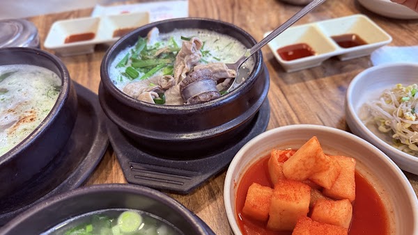 버들집 5