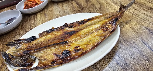 버들집 4