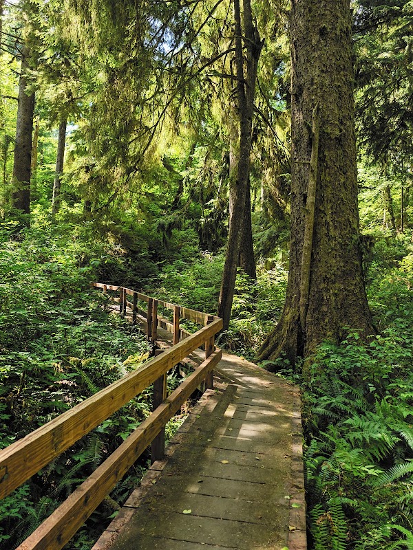 Cathedral Tree Trail