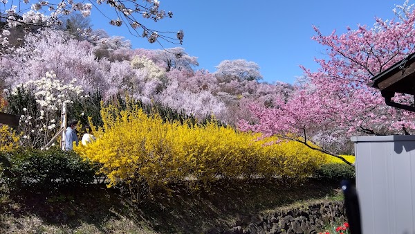 Fukushima 2