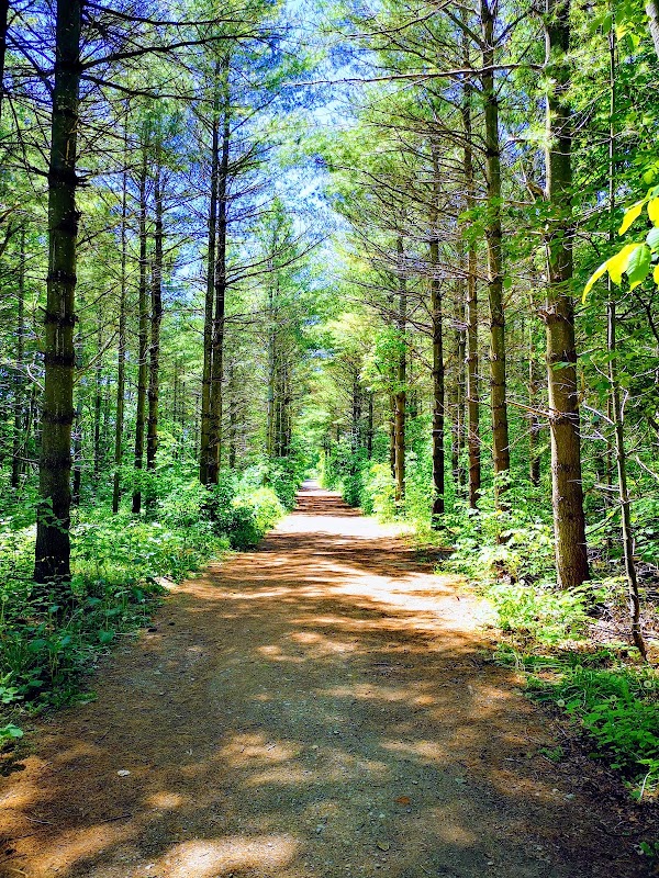 Lion’s Head Provincial Park 4